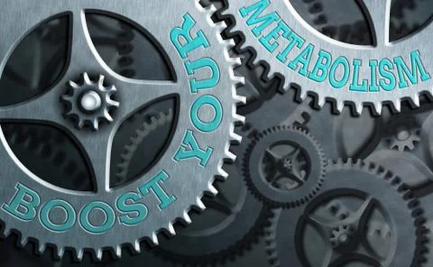 Word writing text Boost Your Metabolism. Business concept for body process uses 스톡 일러스트