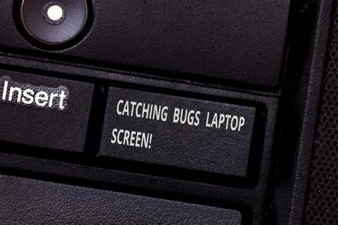 Word writing text Catching Bugs Laptop Screen. Business concept for Computer 스톡 사진