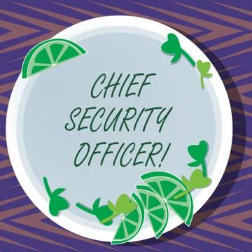 Word writing text Chief Security Officer. Business concept for analysisages an Stock Illustration