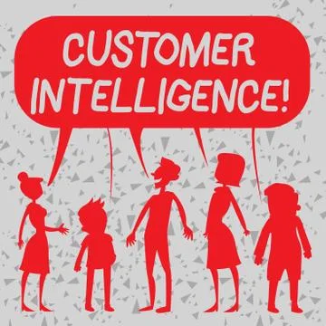 Word writing text Customer Intelligence. Business concept for process of Stock Illustration