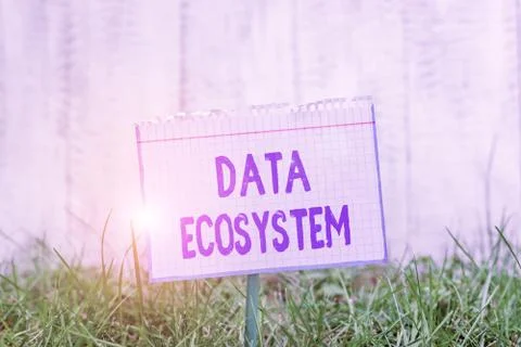 Word writing text Data Ecosystem. Business concept for collection of Stock Photos