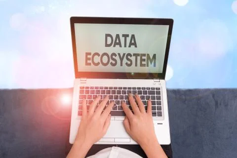Word writing text Data Ecosystem. Business concept for collection of Stock Photos
