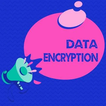 Word writing text Data Encryption. Business concept for Symmetric key algorithm 库存插图