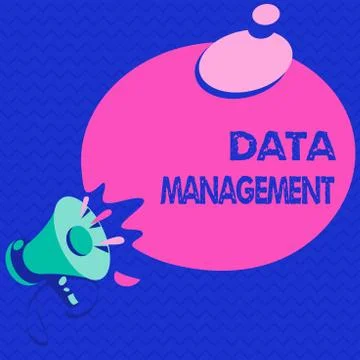 Word writing text Data Management. Business concept for The practice of Illustrazione stock