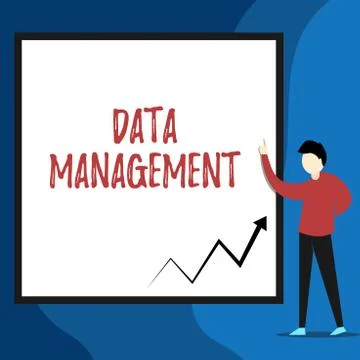 Word writing text Data Management. Business concept for The practice of Illustrazione stock