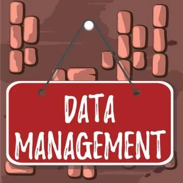 Word writing text Data Management. Business concept for disciplines related to 库存插图