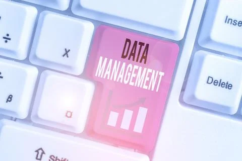 Word writing text Data Management. Business concept for disciplines related to Stock Photos