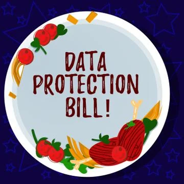 Word writing text Data Protection Bill. Business concept for control how 스톡 일러스트