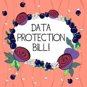 Word writing text Data Protection Bill. Business concept for control how 스톡 일러스트