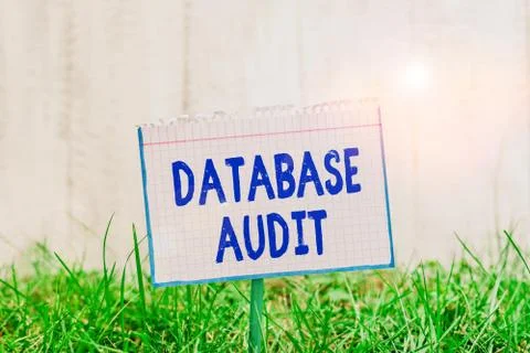 Word writing text Database Audit. Business concept for auditing of data to Foto stock