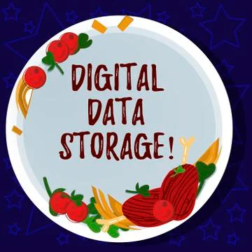 Word writing text Digital Data Storage. Business concept for format for storing 库存插图