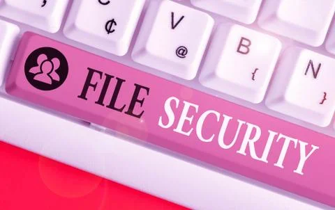 Word writing text File Security. Business concept for Protecting digital data 写真素材