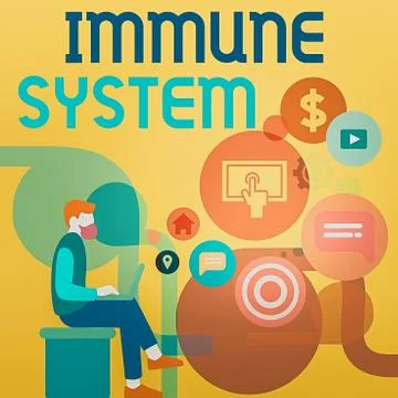 Word writing text Immune System. Business concept for Complex network work Illustrazione stock