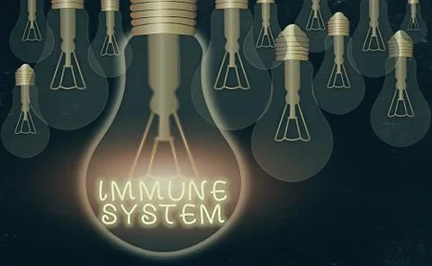 Word writing text Immune System. Business concept for Complex network work Illustrazione stock