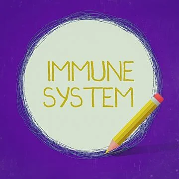 Word writing text Immune System. Business concept for Complex network work Illustrazione stock