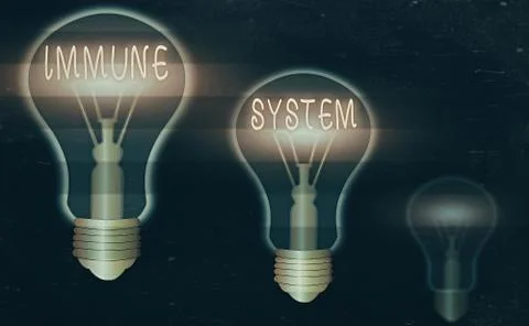 Word writing text Immune System. Business concept for Complex network work 스톡 일러스트