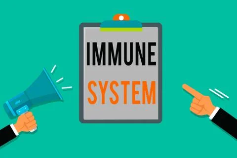 Word writing text Immune System. Business concept for Complex network work Illustrazione stock