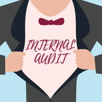 Word writing text Internal Audit. Business concept for Evaluates the Stock Illustration