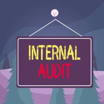 Word writing text Internal Audit. Business concept for evaluating and improving Illustrazione stock