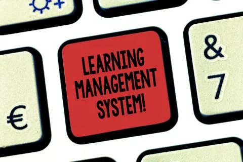 Word writing text Learning Management System. Business concept for software 스톡 사진