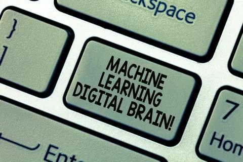 Word writing text Machine Learning Digital Brain. Business concept for Stock Photos