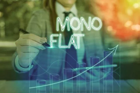 Word writing text Mono Flat. Business concept for Stroke line icons for business Stock-Fotos