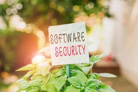 Word writing text Software Security. Business concept for implemented to protect Foto stock