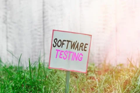 Word writing text Software Testing. Business concept for activity to check Stock Photos