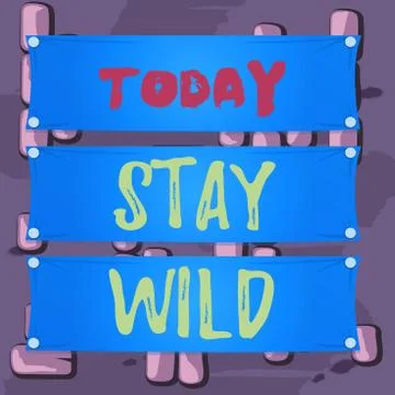 Word writing text Stay Wild. Business concept for keep being you and doing what Stock Illustration