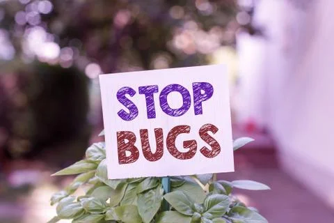 Word writing text Stop Bugs. Business concept for Get rid an insect or similar Stock Photos