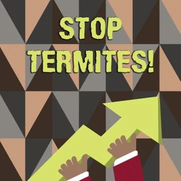 Word writing text Stop Termites. Business concept for prevent a small tropical Illustrazione stock