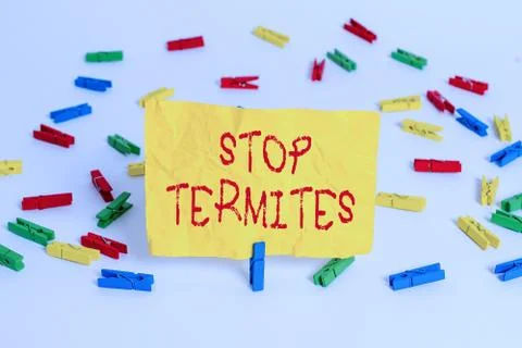 Word writing text Stop Termites. Business concept for prevent a small tropical 스톡 사진