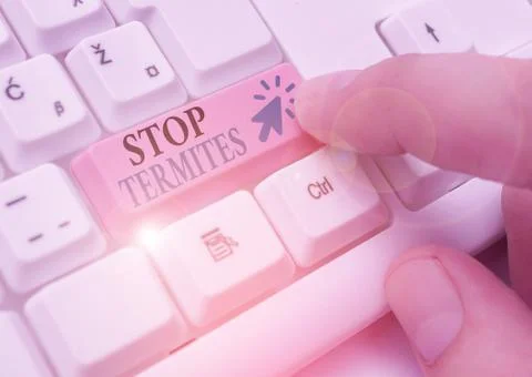 Word writing text Stop Termites. Business concept for prevent a small tropical Stock Photos