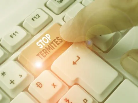Word writing text Stop Termites. Business concept for prevent a small tropical Stock Photos