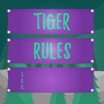 Word writing text Tiger Rules. Business concept for Willpower and Illustrazione stock