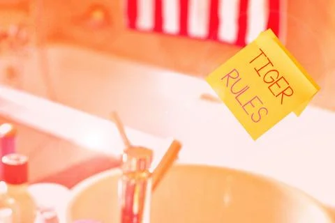 Word writing text Tiger Rules. Business concept for Willpower and Stock Photos