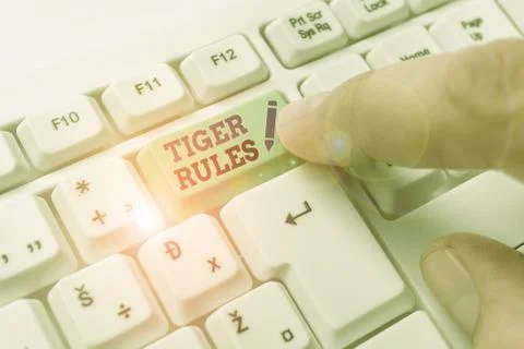 Word writing text Tiger Rules. Business concept for Willpower and Stock Photos
