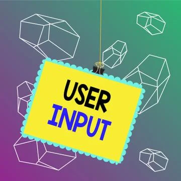 Word writing text User Input. Business concept for Any information or data that Stock Illustration