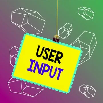 Word writing text User Input. Business concept for Any information or data that Stock Illustration