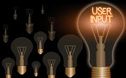 Word writing text User Input. Business concept for Any information or data that 스톡 일러스트
