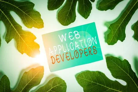 Word writing text Web Application Developers. Business concept for Internet Stock Photos