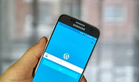 Wordpress mobile application Foto stock