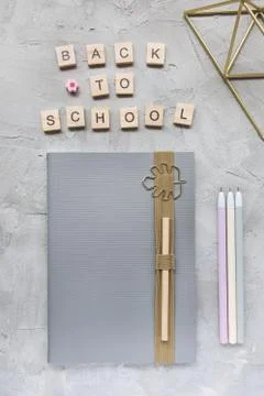 Words BACK TO SCHOOL, notebook and pens on a gray background. 스톡 사진