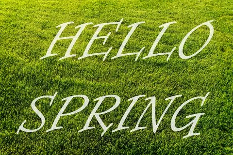 The words hello spring on the background of green grass pattern. Springtime.. Foto stock