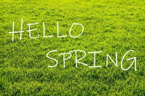 The words hello spring on the background of green grass pattern. Springtime.. Stock Photos