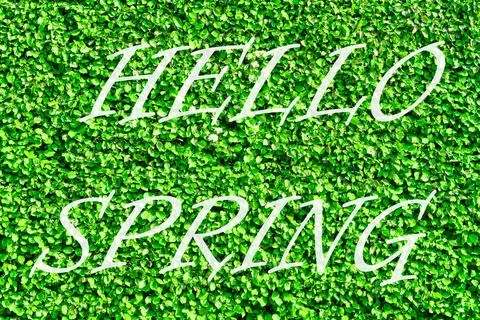 The words hello spring on the background of green leaves pattern. Springtim.. Stock Photos
