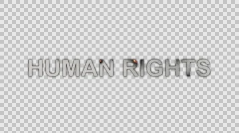 The Words Human Rights Burning in Flames to Ashes in Alpha Channel  Stock Footage 61044491
