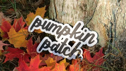 The words Pumpkin Patch leans against a tree stump with a pile of red, orange Stockbeeldmateriaal 321946847