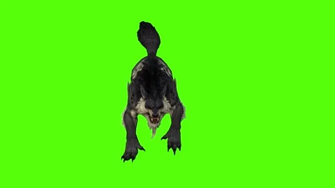 Worg Angry Green Screen Animation 4k Rendering Stock Footage 296208995