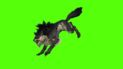 Worg Angry Green Screen Animation 4k Rendering Stock Footage 296209003